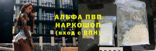 PSILOCYBIN Аркадак