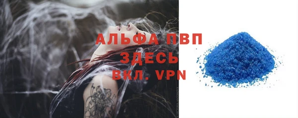 PSILOCYBIN Аркадак