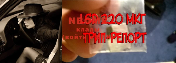 PSILOCYBIN Аркадак