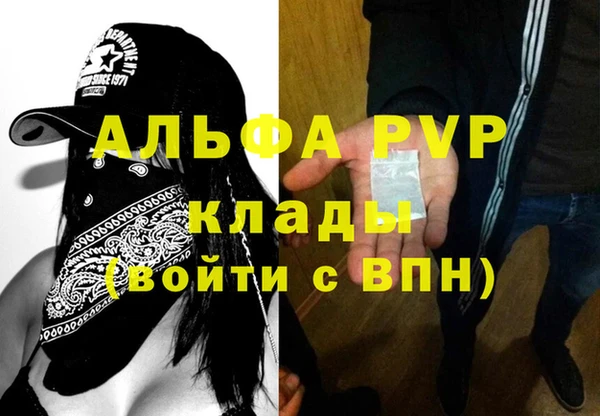 ешки Арсеньев