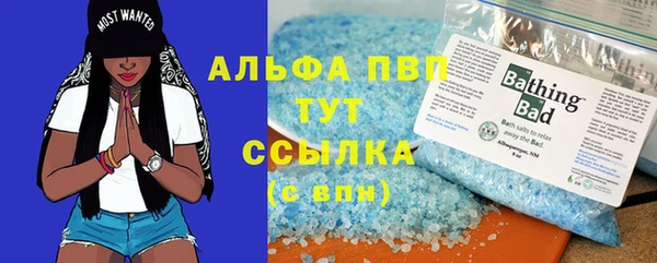 ешки Арсеньев