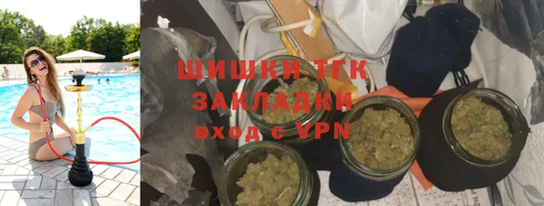 PSILOCYBIN Аркадак