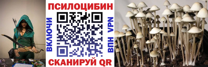 Галлюциногенные грибы MAGIC MUSHROOMS  Губкинский 
