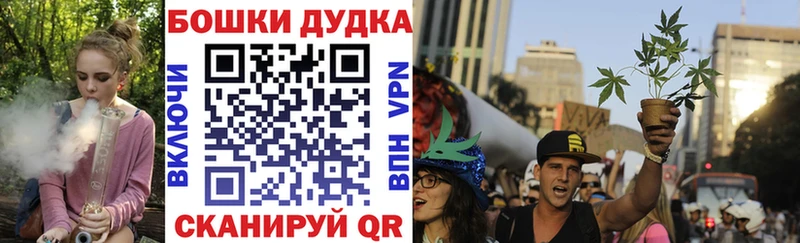 Каннабис гибрид  Губкинский 